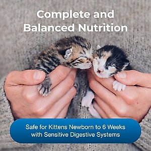 PetAg Goat's Milk KMR Kitten Milk Replacer Powder for Kittens, 12-oz can