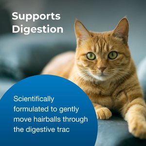 PetAg Hairball Natural Solution Gel Supplement for Cats 6 Months & Older, Petrolatum Free, 3.5-oz tube