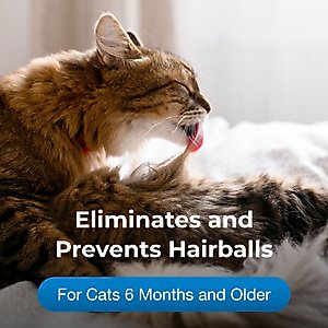 PetAg Hairball Natural Solution Gel Supplement for Cats 6 Months & Older, Petrolatum Free, 3.5-oz tube