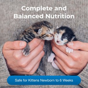 PetAg KMR Kitten Milk Replacer Powder for Kittens, 12-oz can