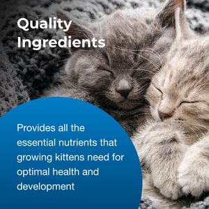 PetAg KMR Kitten Milk Replacer Powder for Kittens, 12-oz can