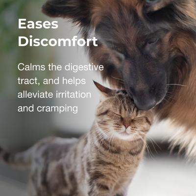 Show full view: PetAg Pet Pectillin Anti-Diarrheal Medication for Dogs & Cats, 4-fl oz bottle slide 6 of 9