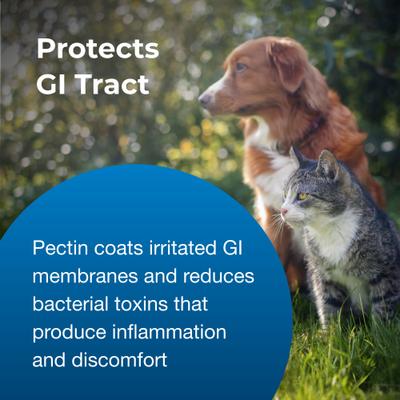 Show full view: PetAg Pet Pectillin Anti-Diarrheal Medication for Dogs & Cats, 4-fl oz bottle slide 7 of 9