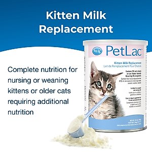PetAg PetLac Kitten Milk Replacement Powder for Kittens, 10.5-oz can
