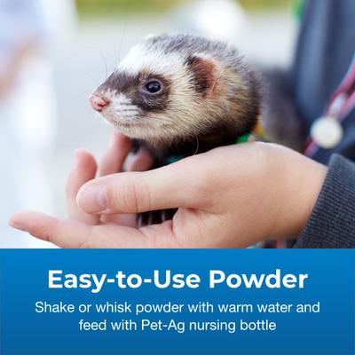 Show full view: PetAg PetLac Milk Replacement Powder Supplement for Pets, 10.5-oz can slide 4 of 10