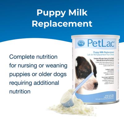 Show full view: PetAg PetLac Puppy Milk Replacement Powder for Puppies, 10.5-oz can slide 3 of 12