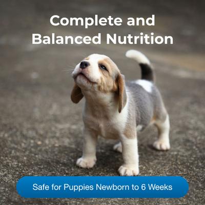 Show full view: PetAg PetLac Puppy Milk Replacement Powder for Puppies, 10.5-oz can slide 4 of 12