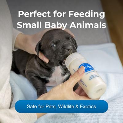 Show full view: PetAg Small Animal Nursing Kit, 4-oz bottle slide 3 of 9