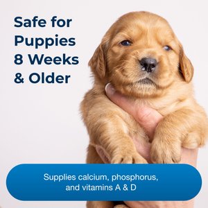PetAg Sure Grow 100 Calcium & Phosphorus Chewable Supplement Tablets for Puppies 8 Weeks & Older, 100 count