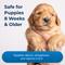 Show in main carousel: PetAg Sure Grow 100 Calcium & Phosphorus Chewable Supplement Tablets for Puppies 8 Weeks & Older, 100 count slide 4 of 8