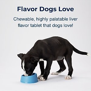 PetAg Sure Grow 100 Calcium & Phosphorus Chewable Supplement Tablets for Puppies 8 Weeks & Older, 100 count