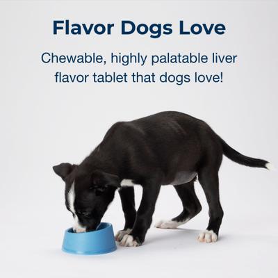 Show full view: PetAg Sure Grow 100 Calcium & Phosphorus Chewable Supplement Tablets for Puppies 8 Weeks & Older, 100 count slide 6 of 8