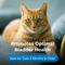 Show in main carousel: PetAg UT Solution Gel Supplement for Cats 6 Months & Older, 3.5-oz tube slide 4 of 7