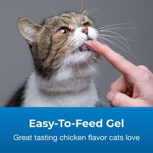 PetAg Vitamin & Mineral Gel Supplement for Cats 4 Months & Older, 3.5-oz tube