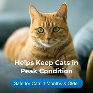 PetAg Vitamin & Mineral Gel Supplement for Cats 4 Months & Older, 3.5-oz tube