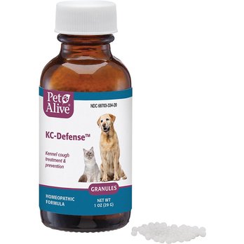 Syrup Dog Cold Medicine Over The Counter Dog Cold Kennel Cough