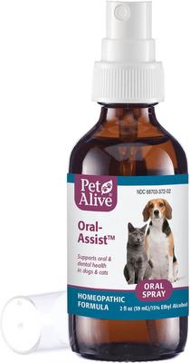 Show full view: PetAlive Oral-Assist Homeopathic Medicine for Dental Infections for Dogs & Cats, 2-fl oz bottle slide 1 of 5