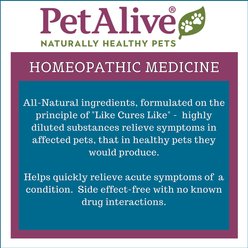 PetAlive Oral-Assist Homeopathic Medicine for Dental Infections for Dogs & Cats, 2-fl oz bottle slide 2 of 4