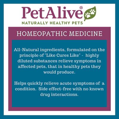 Show full view: PetAlive Oral-Assist Homeopathic Medicine for Dental Infections for Dogs & Cats, 2-fl oz bottle slide 5 of 5