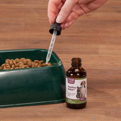 Show full view: PetAlive RuniPoo Relief Dog & Cat Supplement, 2-fl oz bottle slide 4 of 5