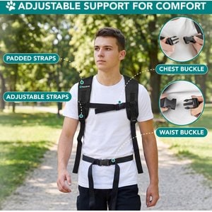PetAmi Airline Approved Expandable Backpack Dog & Cat Carrier, Black