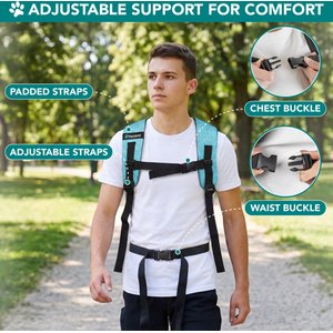 PetAmi Airline Approved Expandable Backpack Dog & Cat Carrier, Turquoise