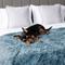 Show in main carousel: PetAmi Furry Faux Fur Waterproof Cat & Dog Blanket, Dusty Blue, Large  slide 6 of 9