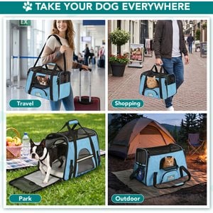 PetAmi Premium Airline Approved Soft-Sided Dog & Cat Travel Carrier, Light Blue, Small