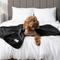 Show in main carousel: PetAmi Reversible Fleece Waterproof Cat & Dog Blanket, Black/Gray, Large  slide 5 of 10