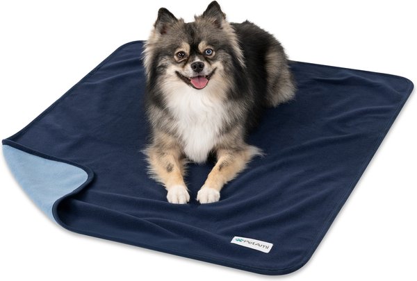 Bed Dog Blanket Chewy Western Throw Blanket West Paw Big Sky Dog