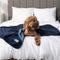 Show in main carousel: PetAmi Reversible Fleece Waterproof Cat & Dog Blanket, Navy/Blue, Medium  slide 8 of 10