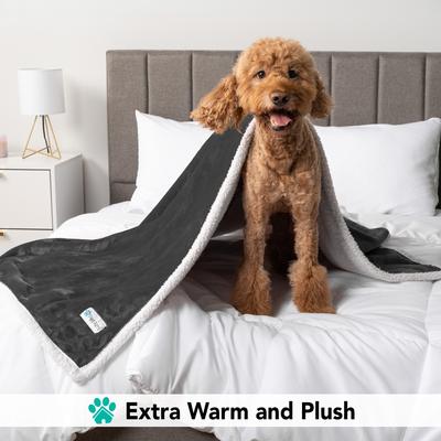 Show full view: PetAmi Sherpa Cat & Dog Blanket, Charcoal, 60 x 80-in slide 5 of 10