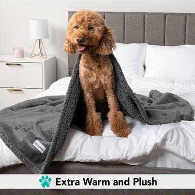 Show full view: PetAmi Sherpa Cat & Dog Blanket, Gray & Gray Sherpa, 50 x 40-in slide 4 of 9