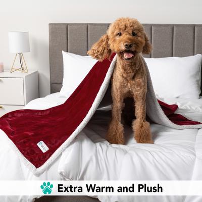 Show full view: PetAmi Sherpa Cat & Dog Blanket, Wine, 29 x 40-in slide 4 of 9