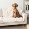 Show in main carousel: PetAmi Sherpa Fleece Waterproof Cat & Dog Blanket, Beige, Large  slide 3 of 9