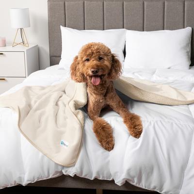 Show full view: PetAmi Sherpa Fleece Waterproof Cat & Dog Blanket, Beige, Large  slide 5 of 9