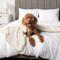Show in main carousel: PetAmi Sherpa Fleece Waterproof Cat & Dog Blanket, Beige, X-Large  slide 5 of 9