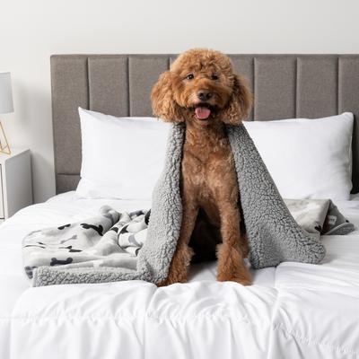 Show full view: PetAmi Sherpa Fleece Waterproof Cat & Dog Blanket, Bone Gray, Large  slide 7 of 11
