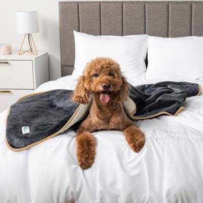 Show full view: PetAmi Sherpa Fleece Waterproof Cat & Dog Blanket, Gray/Beige, Medium  slide 6 of 9