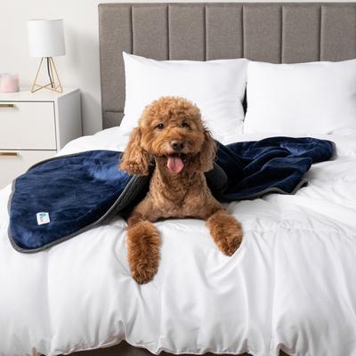 Show full view: PetAmi Sherpa Fleece Waterproof Cat & Dog Blanket, Navy/Gray, Queen  slide 4 of 9