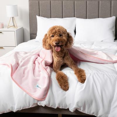 Show full view: PetAmi Sherpa Fleece Waterproof Cat & Dog Blanket, Pink, Medium  slide 3 of 9