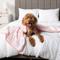 Show in main carousel: PetAmi Sherpa Fleece Waterproof Cat & Dog Blanket, Pink, Queen  slide 3 of 9