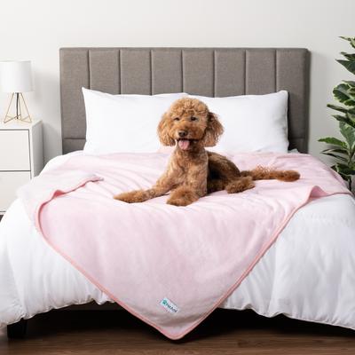 Show full view: PetAmi Sherpa Fleece Waterproof Cat & Dog Blanket, Pink, X-Large  slide 3 of 9