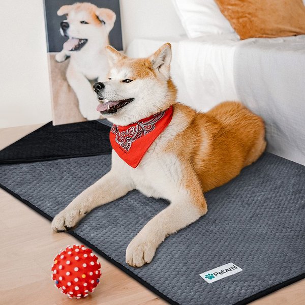 PetAmi Sherpa Fleece Waterproof Waffle Cat & Dog Blanket