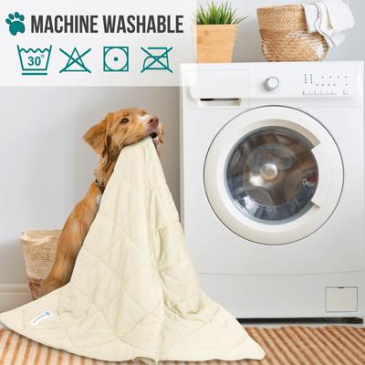 Show full view: PetAmi Soft Cooling Cat & Dog Blanket, Beige Cream, Large  slide 5 of 9