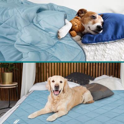 Show full view: PetAmi Soft Cooling Cat & Dog Blanket, Dusty Blue, Large  slide 6 of 9