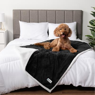 Show full view: PetAmi Waterproof Dog Blanket, Black, 50 x 40-in slide 5 of 12