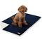 Show in main carousel: PetAmi Waterproof Dog Blanket, Blue, 50 x 40-in slide 1 of 12