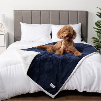 Show full view: PetAmi Waterproof Dog Blanket, Blue, 50 x 40-in slide 5 of 12