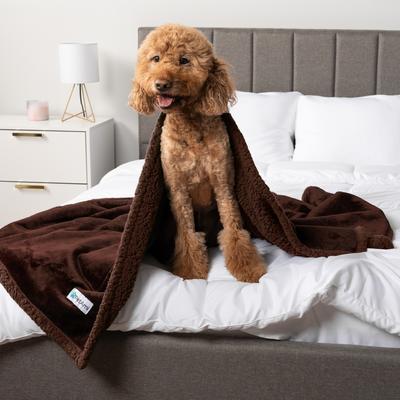 Show full view: PetAmi Waterproof Dog Blanket, Brown & Brown Sherpa, 60 x 80-in slide 4 of 11